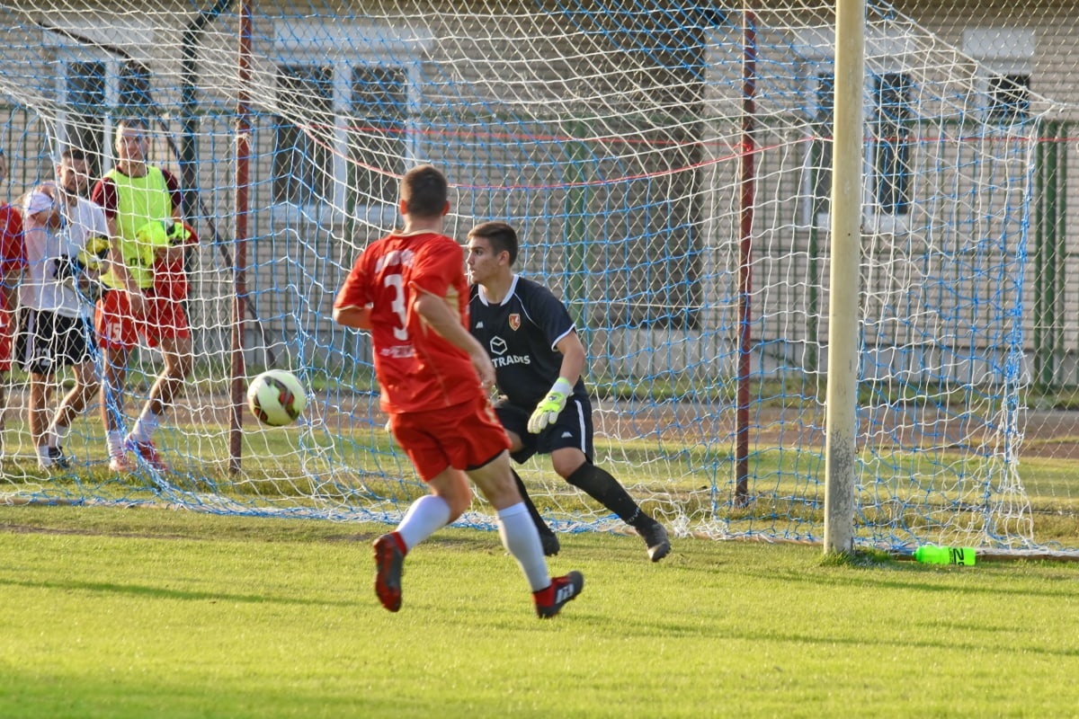 jogos caça níqueis grátis para baixar